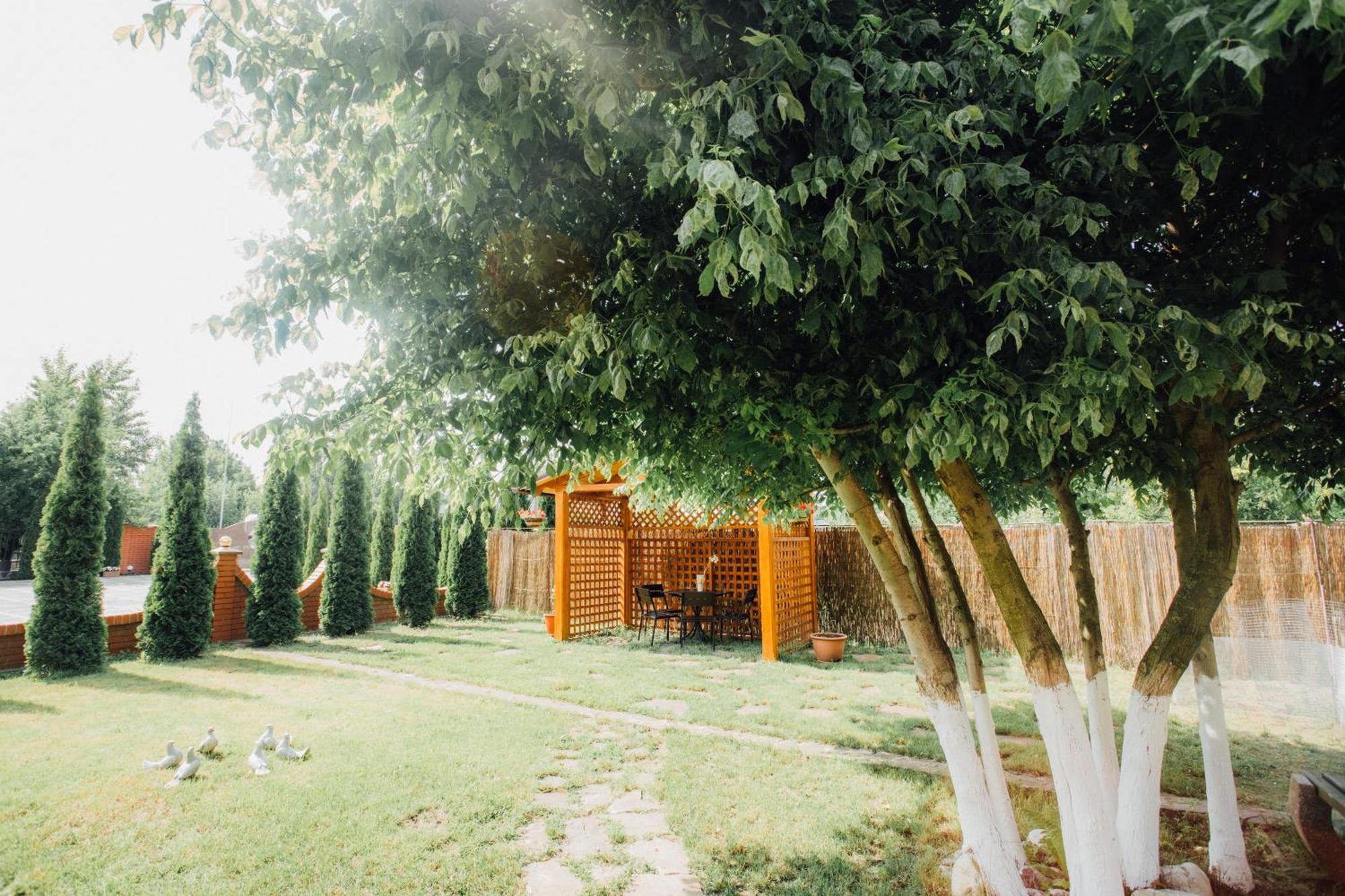 Villa Fenix Bereg Exterior foto