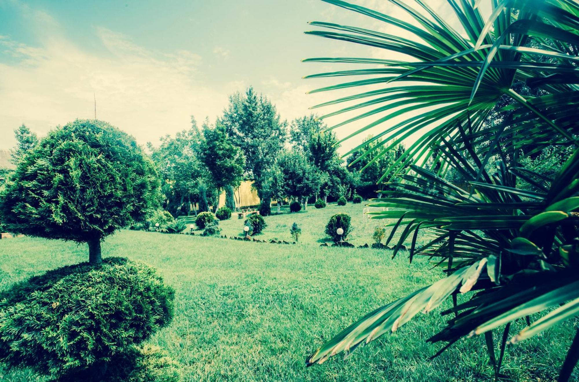 Villa Fenix Bereg Exterior foto